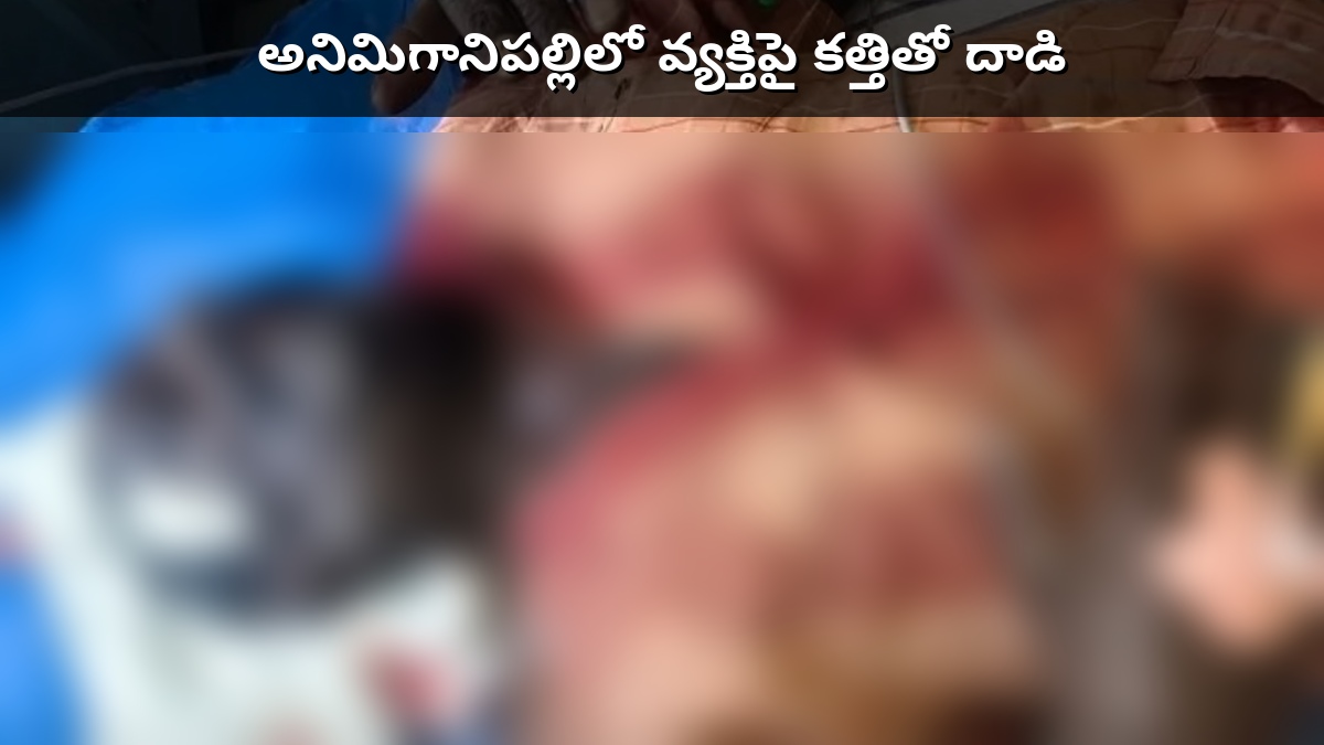 అనిమిగానిపల్లిలో వ్యక్తిపై కత్తితో దాడి
